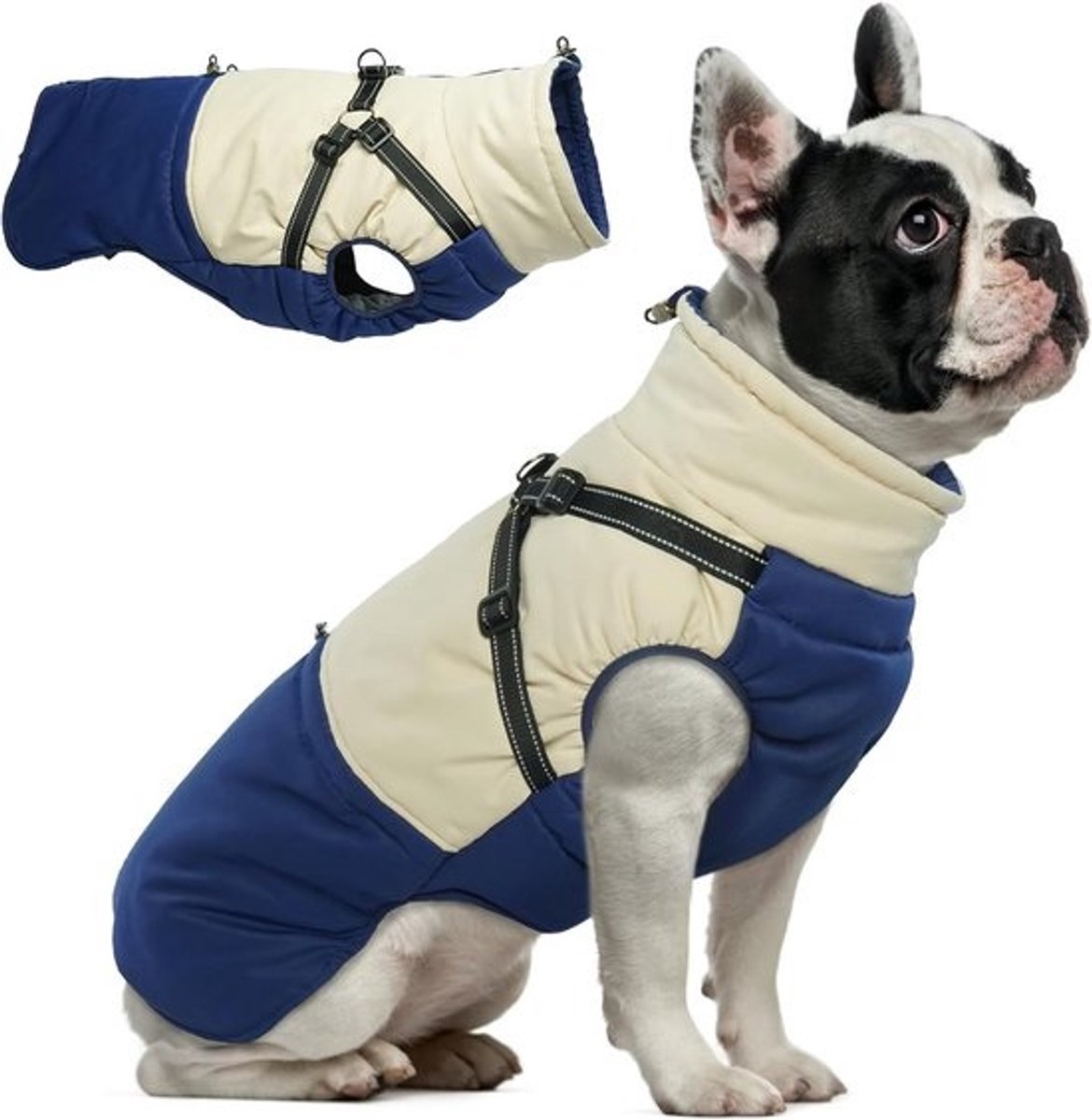 Waterdichte hondenjas met harnas voor Franse Bulldog