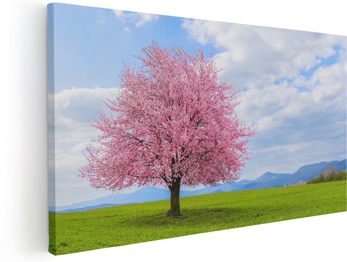 Artaza Canvas Schilderij Roze Sakura Bloesem Boom In Het Groene Veld - 180x90 cm - Groot - Wanddecoratie Woonkamer - Schilderijen - Muurdecoratie