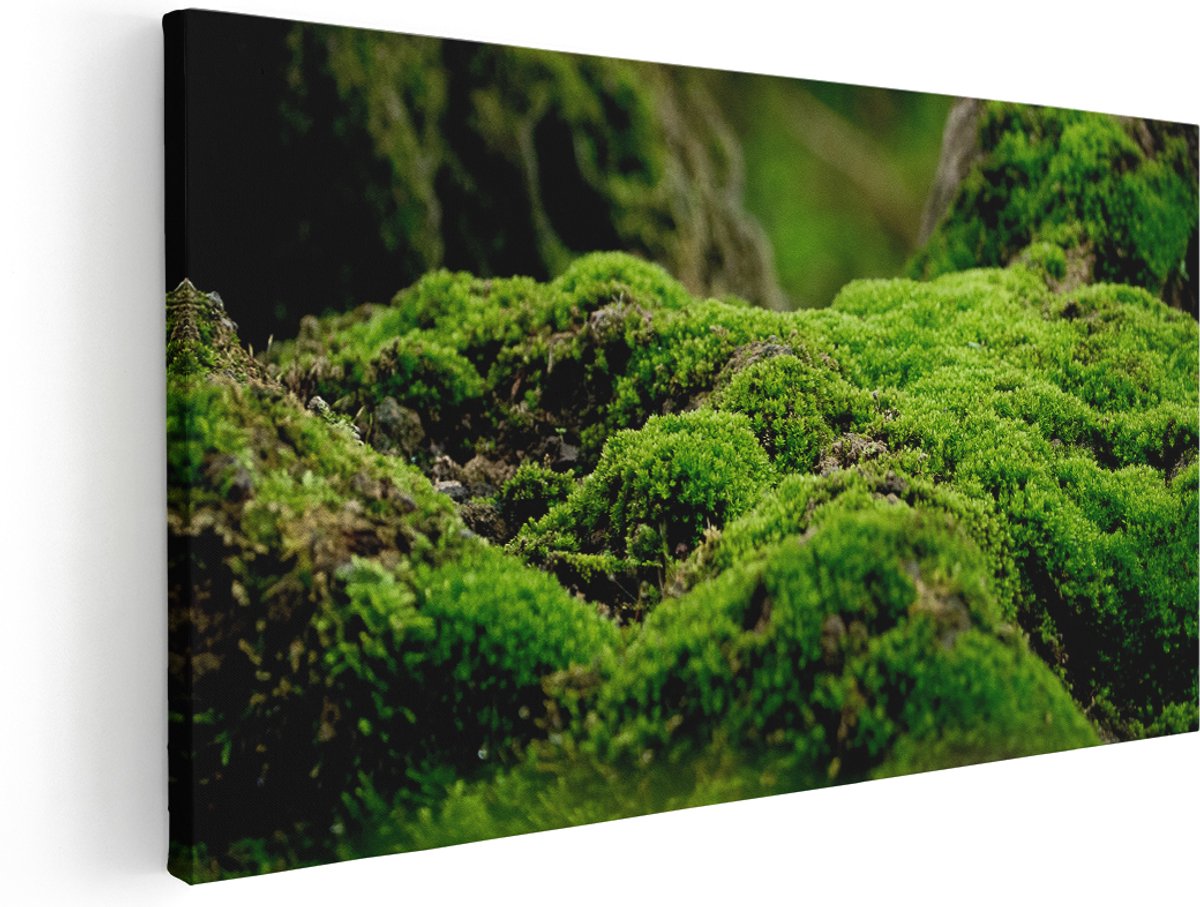 Artaza Canvas Schilderij Groen Mos - 180x90 cm - Groot - Wanddecoratie Woonkamer - Schilderijen - Muurdecoratie