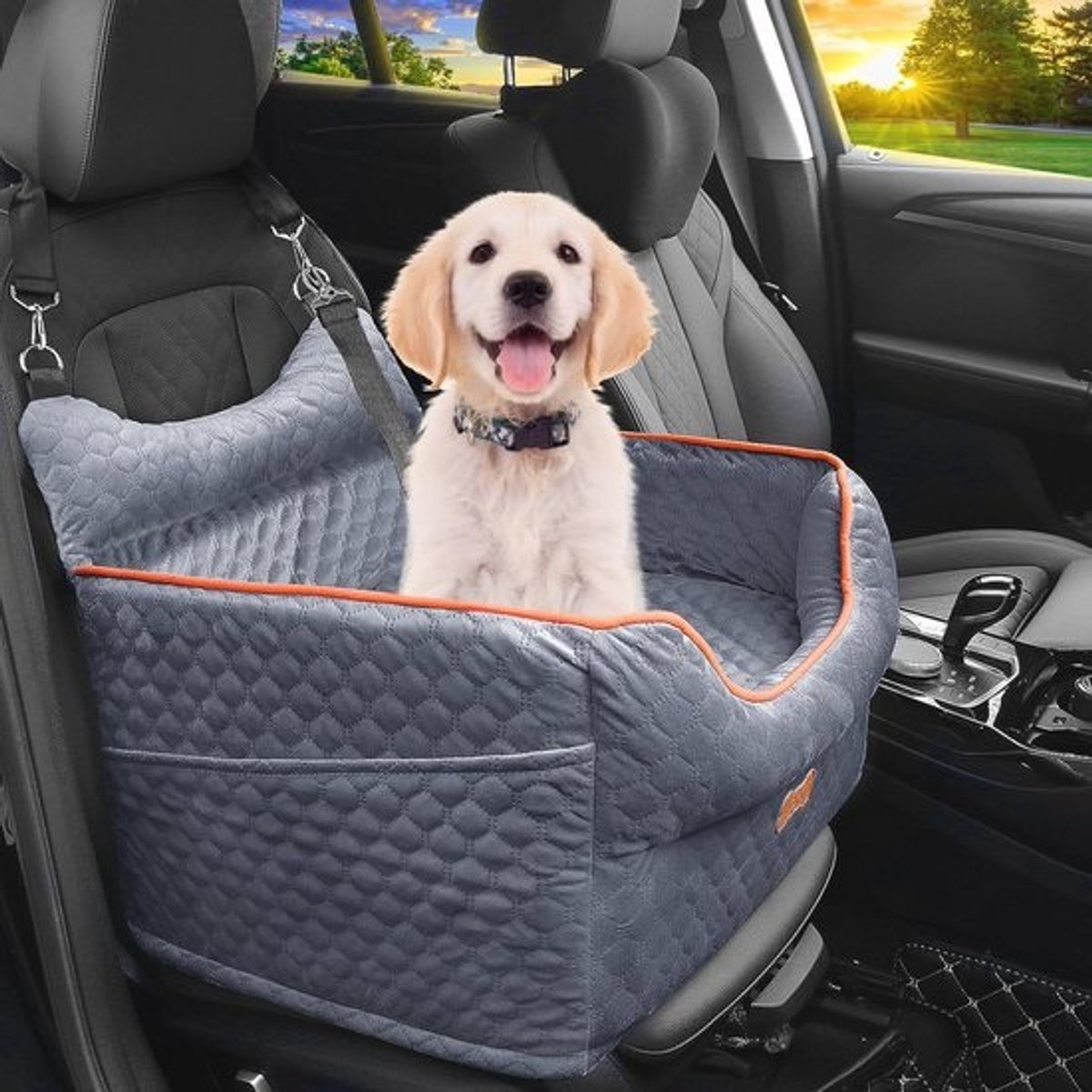 Hondenverhoger voor kleine honden - Verhoogd autostoeltje met opbergzakken en hondengordel
