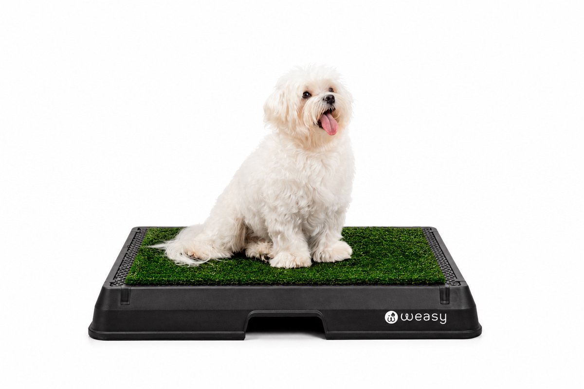 Weasy – Slim potje voor honden – Zwart – Klein – Met Weasy Bag en synthetische grasmat