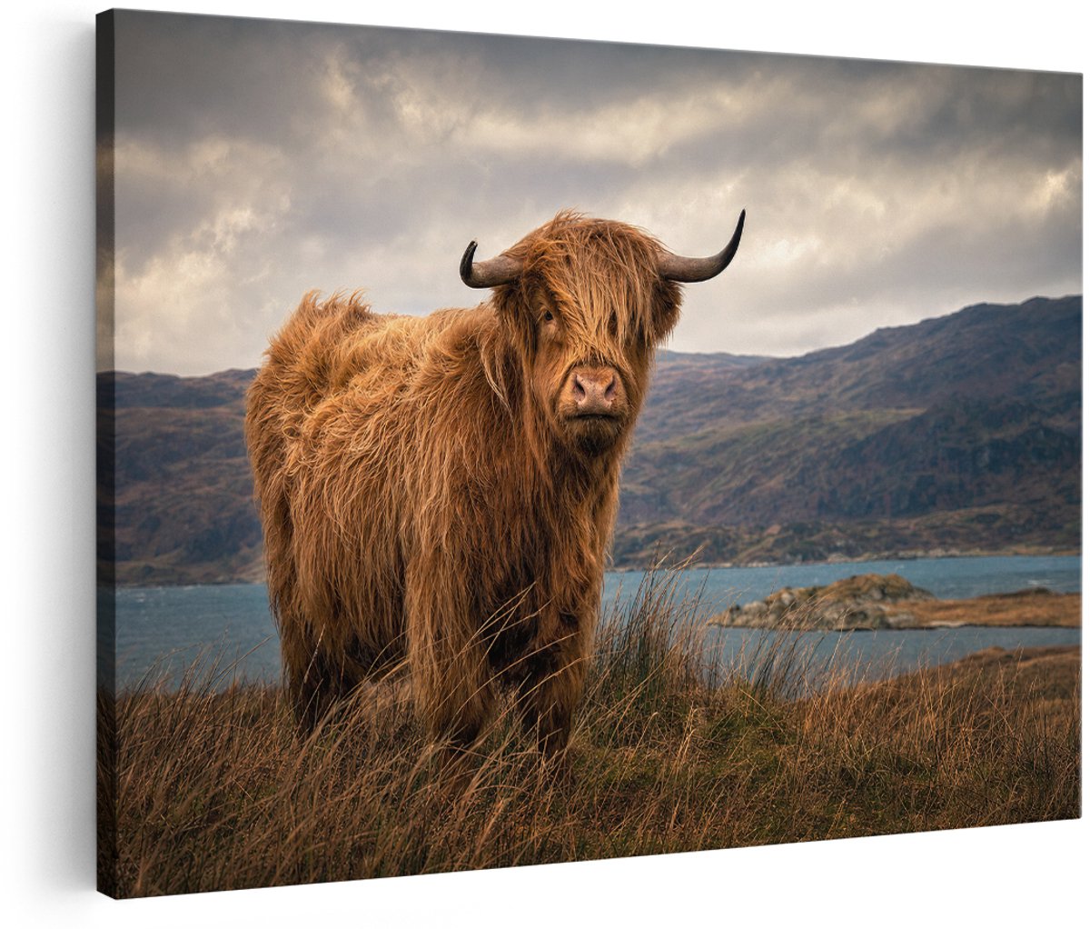 Artaza Canvas Schilderij Schotse Hooglander In Berglandschap - Natuur - 150x100 cm - Groot - Wanddecoratie Woonkamer - Schilderijen - Muurdecoratie