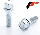Set van 20 konische HEX17 wielbouten M14x1,25 x27mm - Zilver