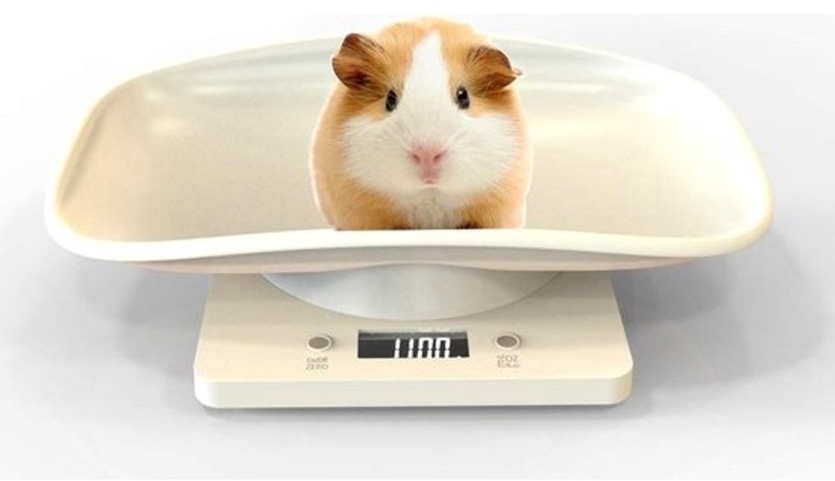 Digitale Huisdierenweegschaal met LCD – Nauwkeurig Wegen tot 10kg voor Kleine Honden, Katten en Keuken