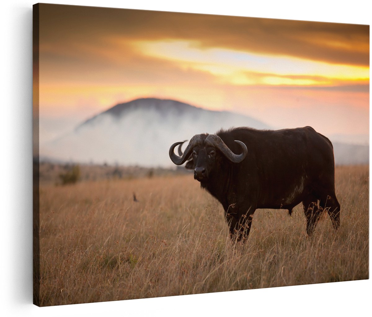 Artaza Canvas Schilderij Buffel in het Gras - 150x100 cm - Groot - Wanddecoratie Woonkamer - Schilderijen - Muurdecoratie