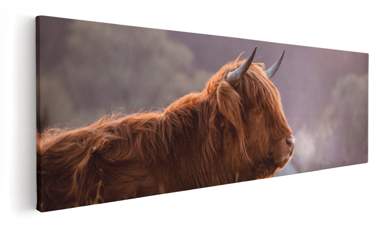 Artaza Canvas Schilderij Schotse Hooglander Koe Ligt In Het Gras - 150x50 cm - Groot - Wanddecoratie Woonkamer - Schilderijen - Muurdecoratie