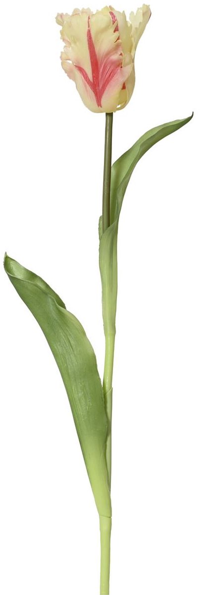 Everlands Papegaaitulp Crème & Rood Ø 6 cm 51 cm - Kunstbloemen