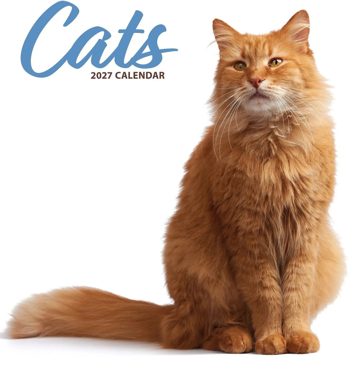 Katten Modern Kalender 2027