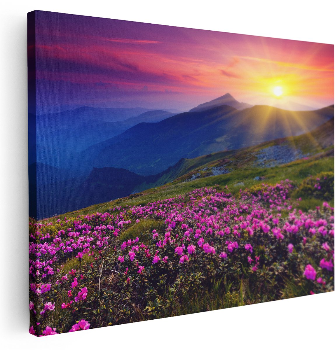 Artaza Canvas Schilderij Roze Rhododendron Bloemenveld - Bergen - 160x120 cm - Groot - Wanddecoratie Woonkamer - Schilderijen - Muurdecoratie