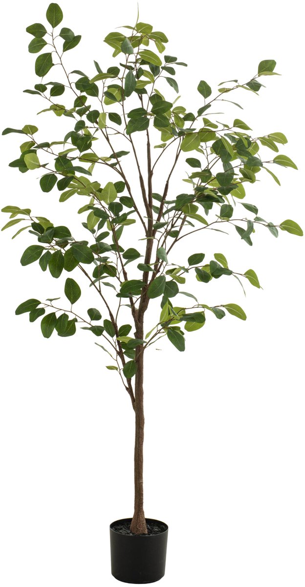 Fleurdirect Kunstplant Eucalyptus - Realistisch & Onderhoudsvrij - 170 cm hoog Groen