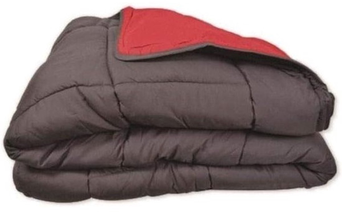 Dekbed Tweekleurig - Dekbedovertrek Polyester - Warm Blijven - Ruitpatroon Vulling - 220 x 240 cm - Grijs/Rood