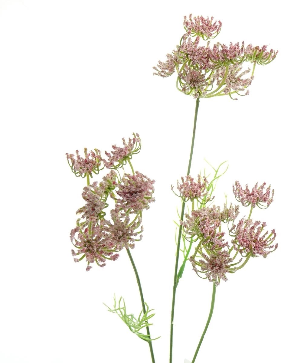 Gasper Bisschopsbloem Ammi Majus Roze 52 cm - Kunstbloemen
