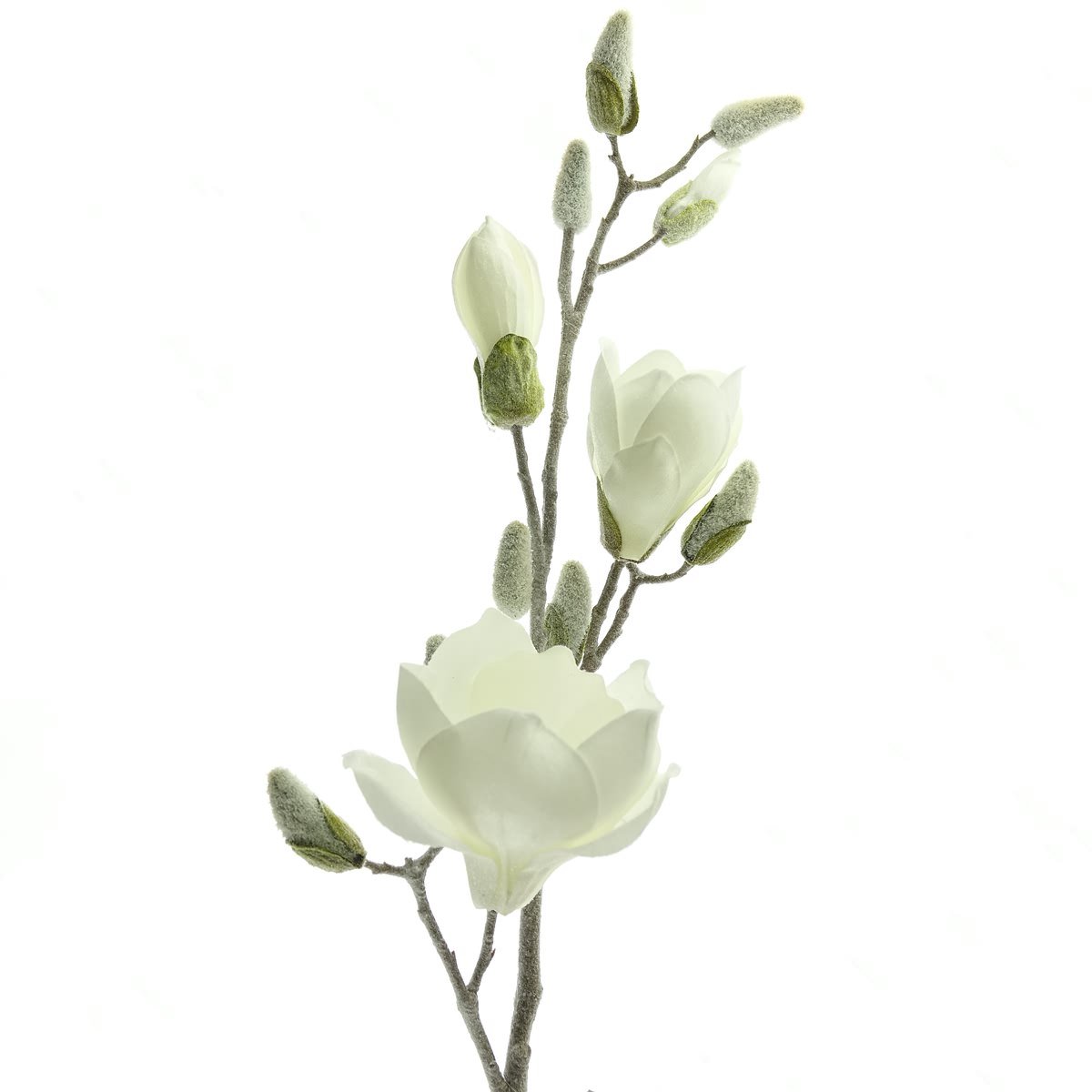 Gasper Magnolietak Wit Berijpt 80 cm - Kunstbloemen