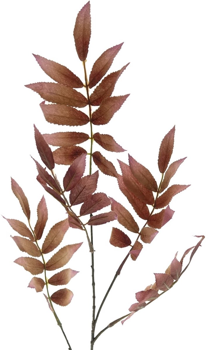 Gasper Lijsterbestak - Sorbus Kaneelkleurig 82 cm - Kunstplanten