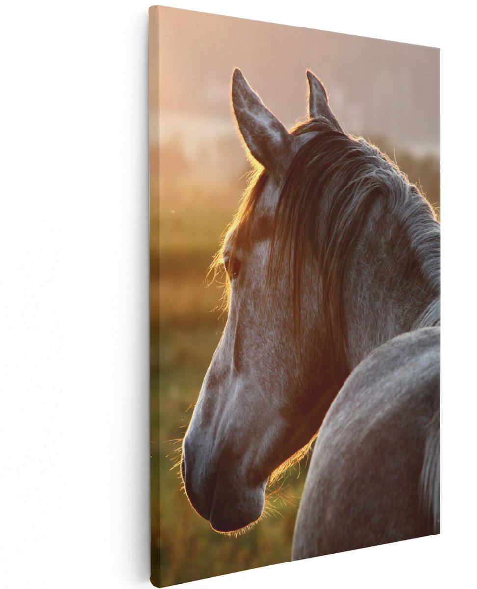 Artaza Canvas Schilderij Paard In De Weide Tijdens Zonsondergang - 120x180 cm - Groot - Wanddecoratie Woonkamer - Schilderijen - Muurdecoratie