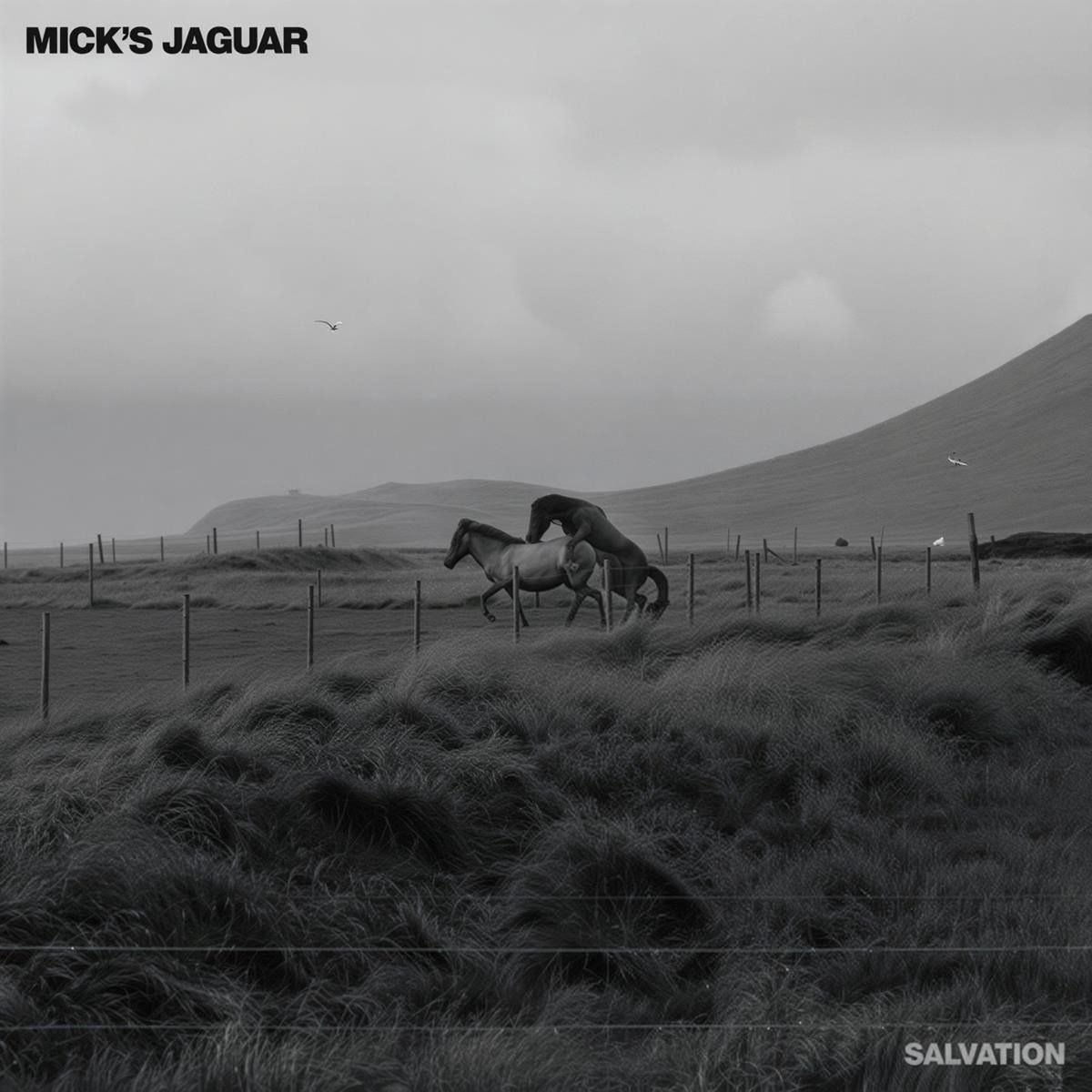 Mick's Jaguar - Salvation (LP) (Coloured Vinyl)