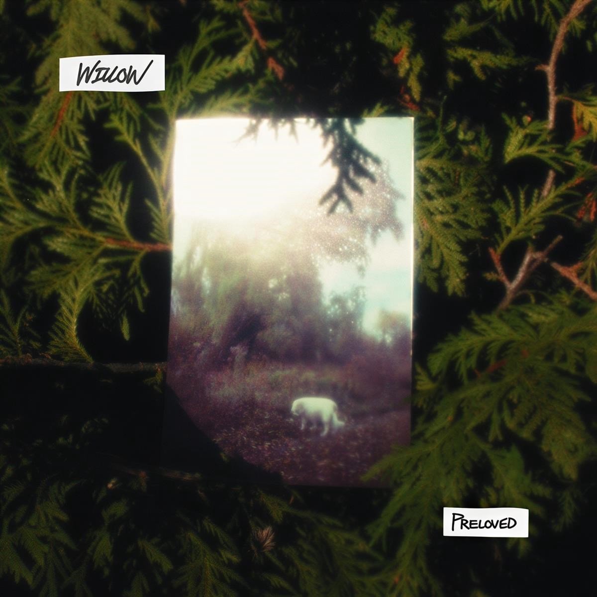 Preloved - Willow (LP)