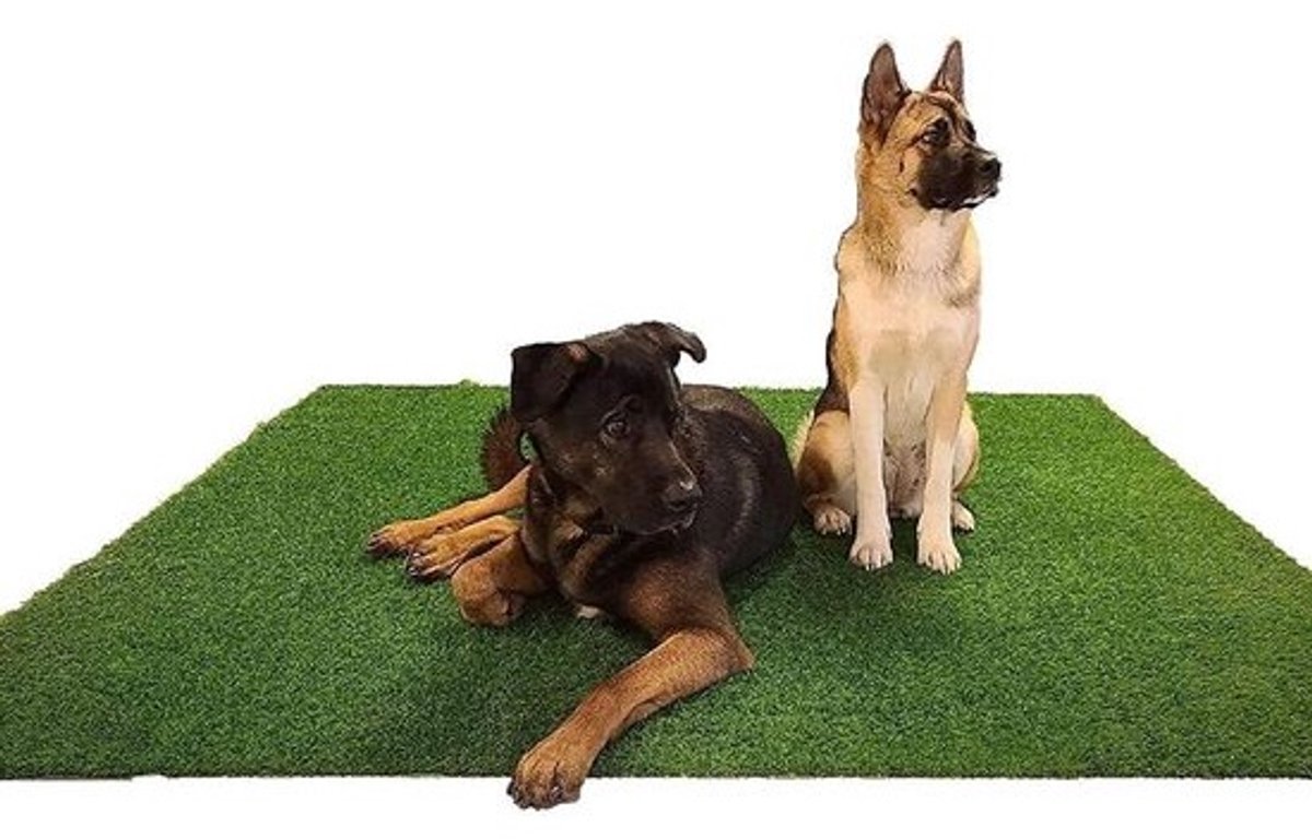 Kunstgras Hondentoilet - Hondenplasmat Trainingsmat - Hond Zindelijk Maken - Geurarm Rubberen Onderkant - 180 x 180 cm - Groen