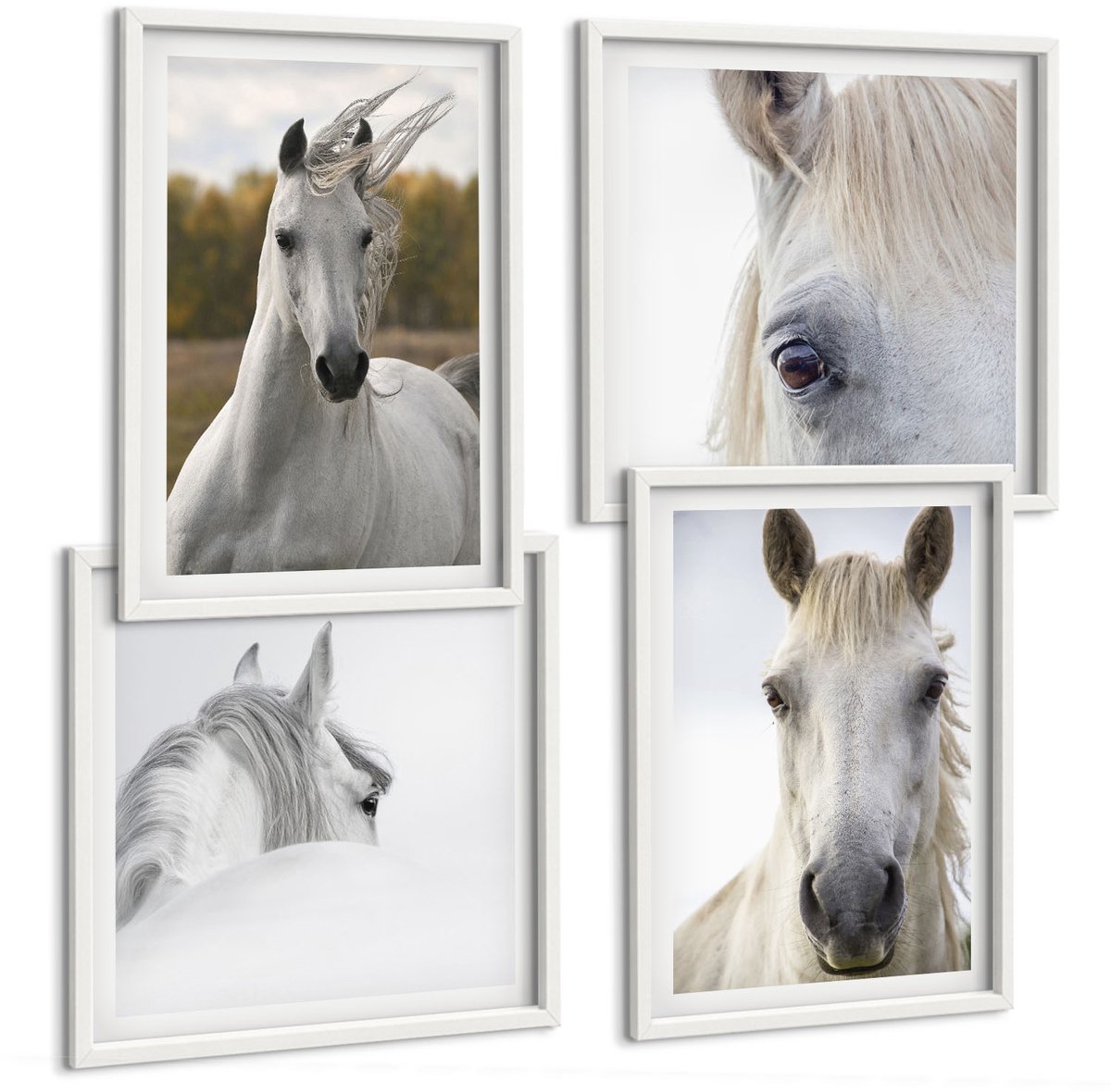 Wallfluent 4-Delige Schilderij Set - Witte Paarden In Verschillende Houdingen Tegen Een Natuurlijke Achtergrond. - 40 x 40 En 40 x 60 - Wanddecoratie - Muurdecoratie - Moderne Interieurdecoratie