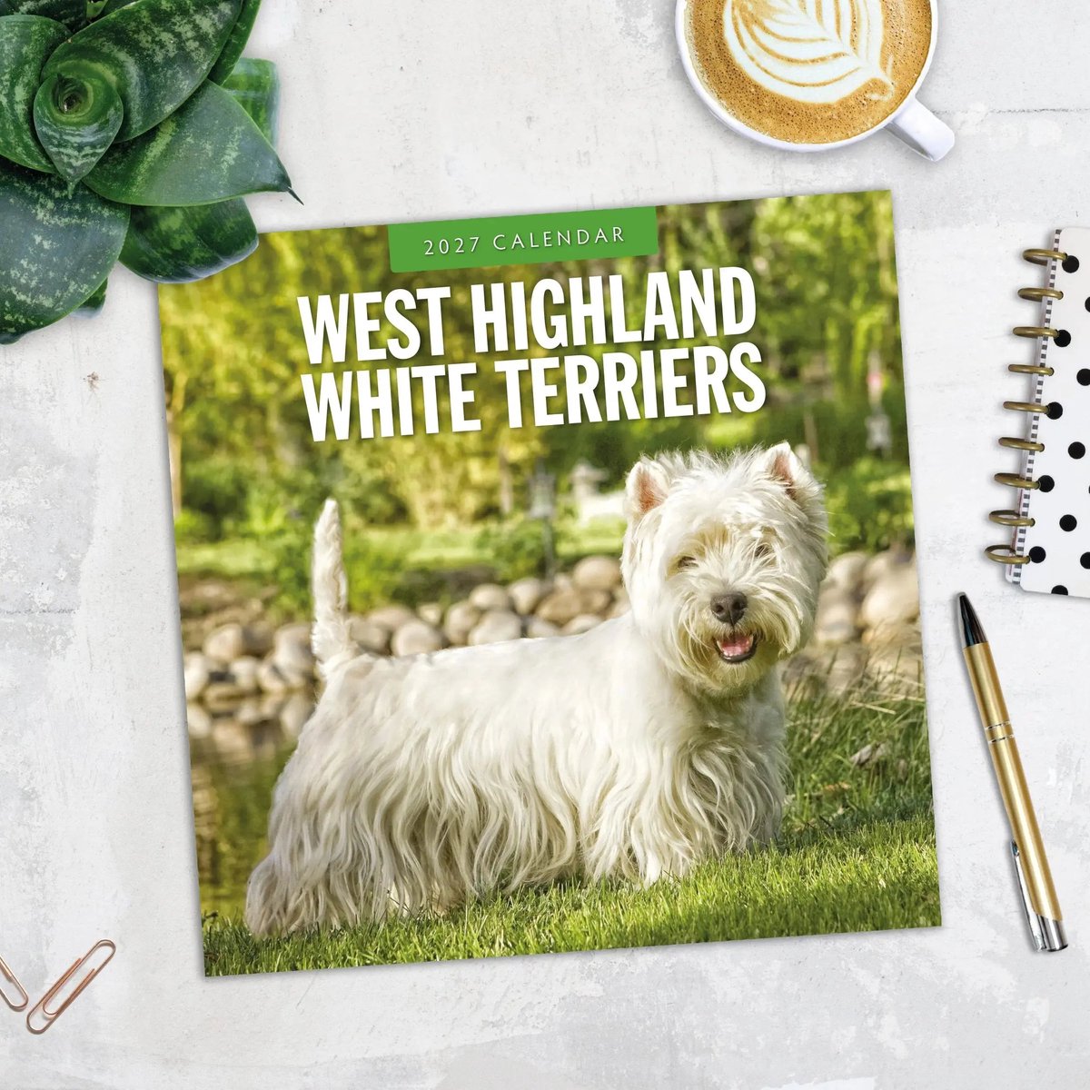 West Highland White Terrier Kalender 2027