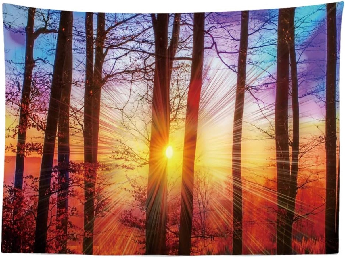 - Bomen Zonsondergang Natuur - Wandkleed - 200x150 cm – Poster Stof Versiering - Bos - Accessoires Decoratie – Kleed – Doek – Tapestry Accessoires voor Slaapkamer Woonkamer Kinderkamer