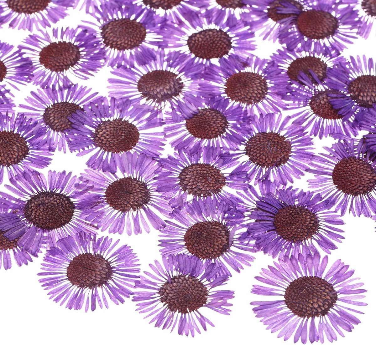 Gedroogde geperste bloemen voor hars, natuurlijke bloemen groothandel voor ambachten/zeep/scrapbooking/ambachtelijke kaarsen/benodigdheden epoxyhars [donkerpaars]