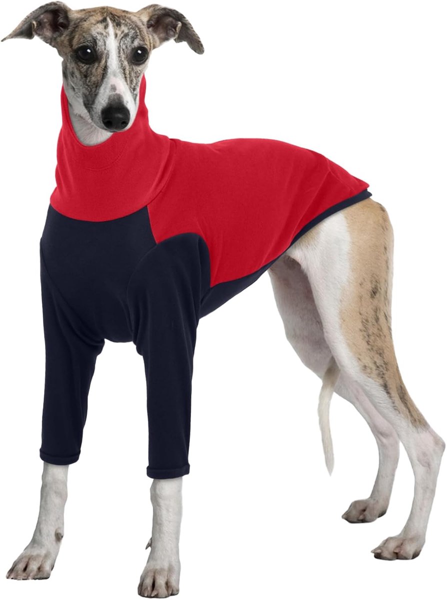 Winterjas, Salukis Trui Greyhound Winterkleding Sighthound Jas Hond Fleece Shirt Lente Herfst Hond Jumpsuit Pyjamas (Rood, 3XL)