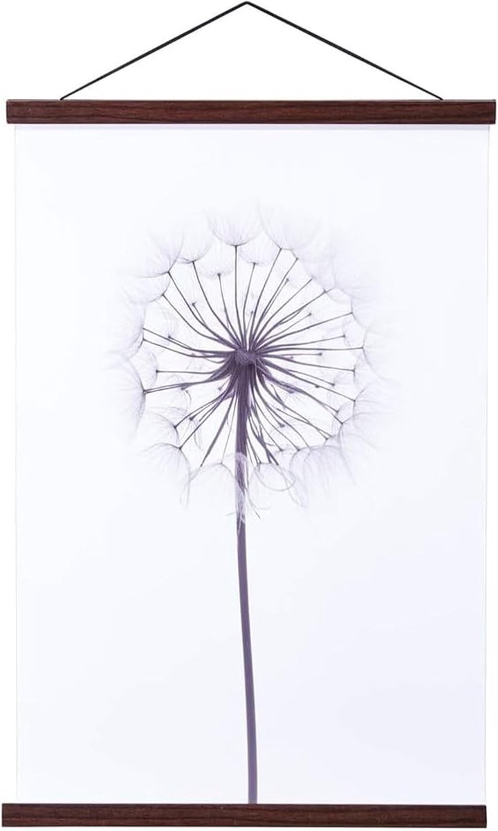 Posterlijst met magnetische houten posterlaten, houder, frame, fotolijst, fotolijst, 40 x 60 cm, 40 x 50 cm, 40 x 40 cm (40 cm, Walnoot Houtkleur)