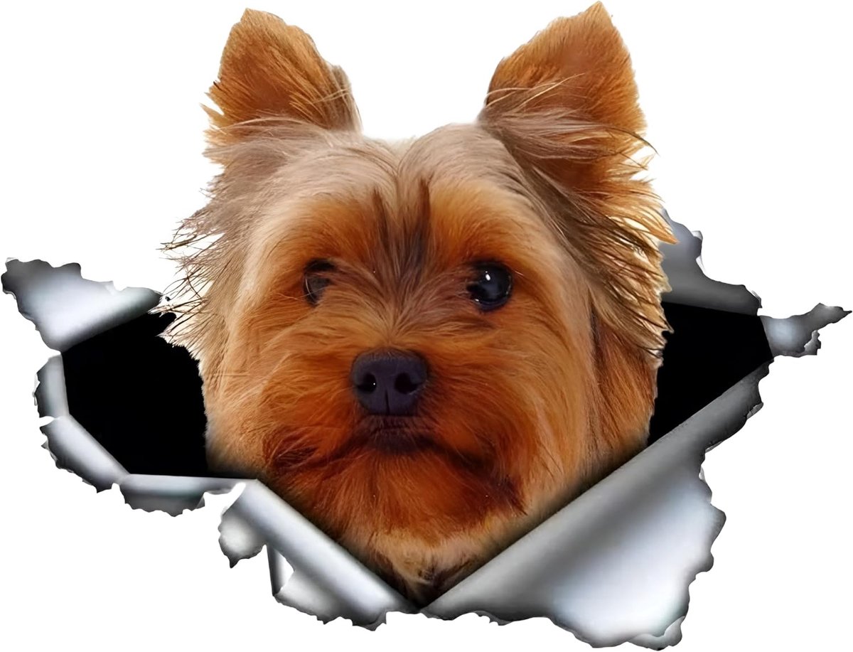 Terrier Autosticker, 22 cm, 3D, scheuren, reflecterende autosticker, Yorkshire Terrier, autosticker, huisdier, hond, waterdichte sticker, bumper, achterruit, decoratie