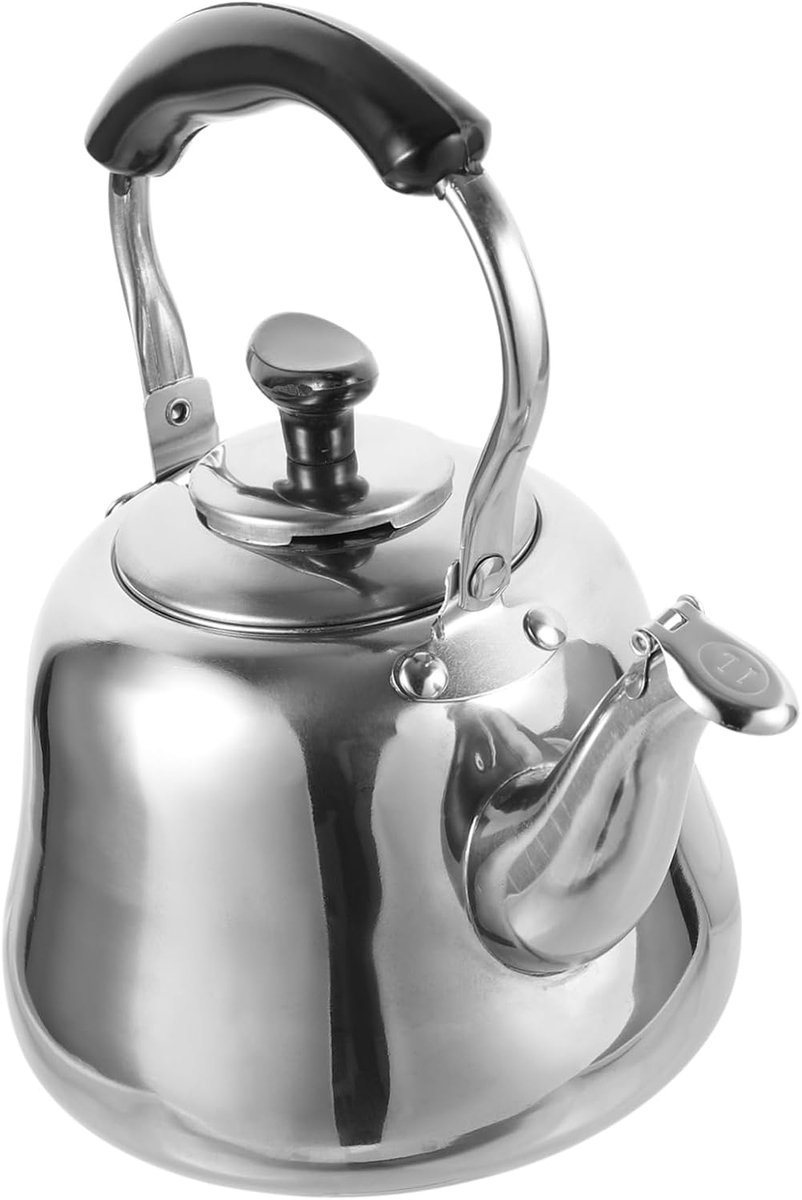 SnelShoppen - RVS Waterkoker 1L met Filter, Huishoudelijke Kettle voor Gas en Inductiekookplaat, BPA-vrij voor Thee en Koffie, Praktische Theeketel