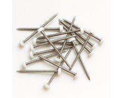 40 mm Poly-Top spijker (50 stuks), Roestvrij staal, UPVC kunststof kop, wit