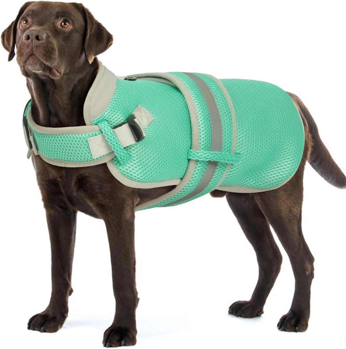 Koelvest voor honden van kleine, middelgrote en grote maat - Efficiënt koelen door ademende mesh - Verstelbaar, reflecterend en veilig - Zomerjas voor wandelingen en