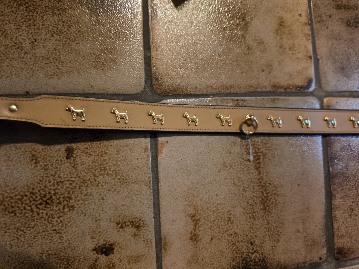 Halsband dubbelgestikt bruin met versieringen 65 cm 30 mm 52.5/60