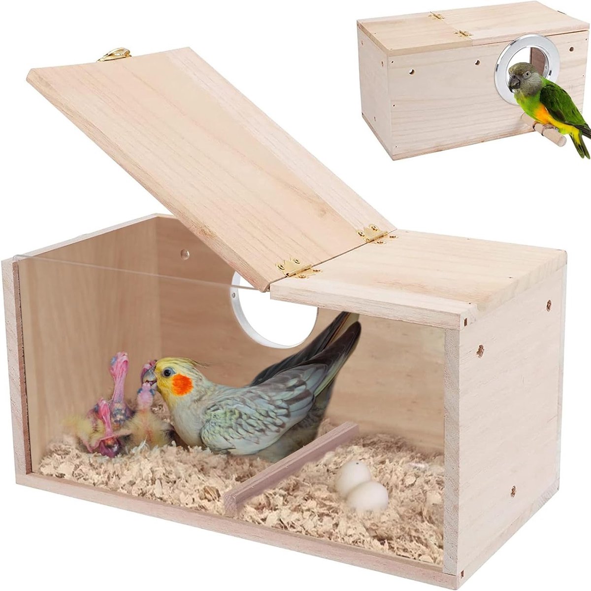 Houten Vogelhuisje voor Kleine Vogels, Transparante Groei Box met Stand voor Lovebirds en Vinken, 25 x 13 x 13 cm, Ideaal voor Vogelliefhebbers en Tuin Decoratie