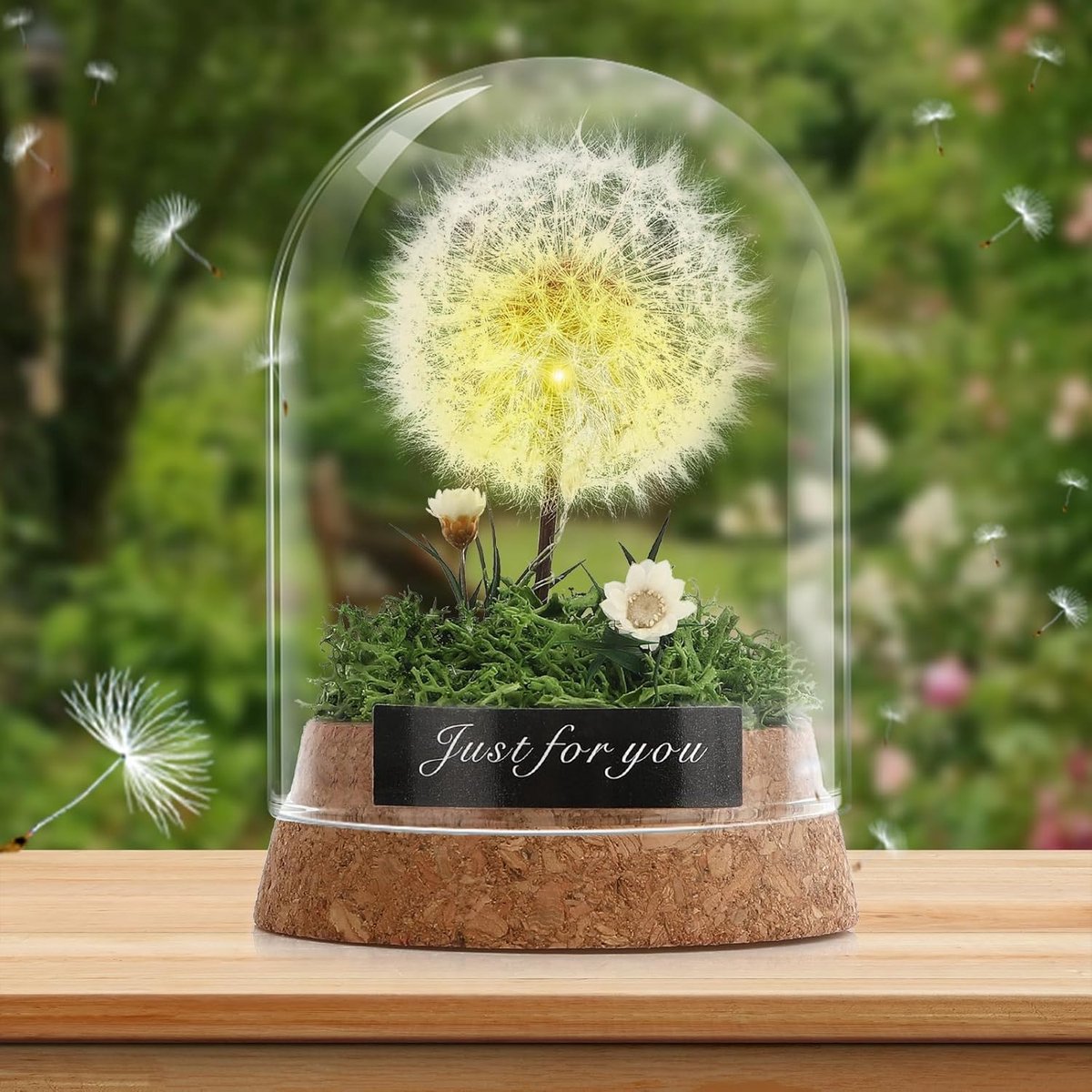 SnelShoppen - Dandelion in Glass, Decoratieve Dandelion Specimen, Perfect Cadeau voor Vrouw, Verjaardag, Valentijnsdag, Bruiloft, Luxe Bureau Decorati