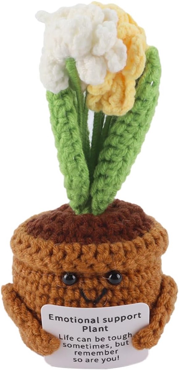 SnelShoppen - Handgemaakte Haakbloemen, Vergeet-me-nietjes, Draagbaar Emotioneel Steun Cadeau voor Vrienden en Familie, Mooie Gehaakte Bloem in Kleine
