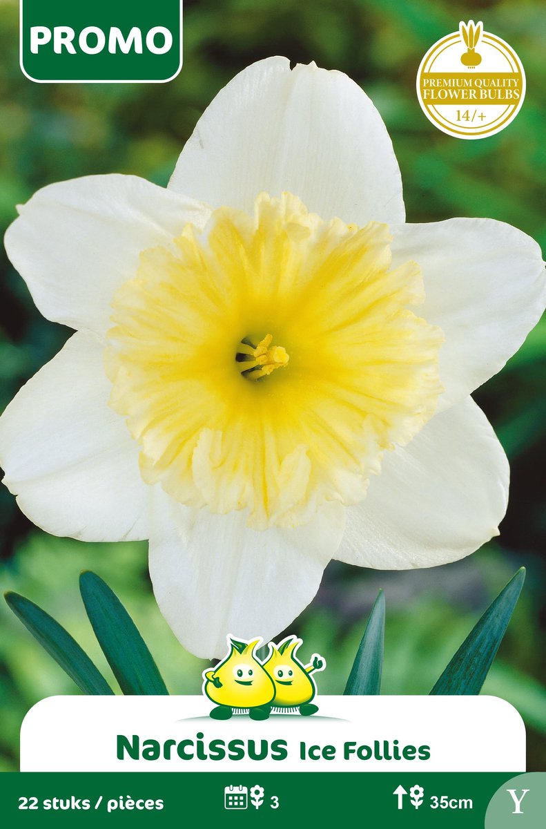 1 Zakje Promoverpakking Narcis Ice Follies 22stuks maat 14/+