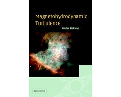 Magnetohydrodynamic Turbulence