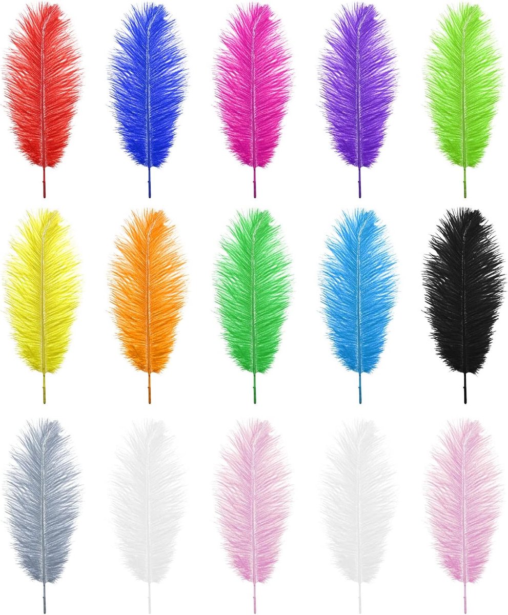 SnelShoppen - 15pcs Natuurlijke Struisvogelveren Gemengde Kleuren 25-30cm voor DIY Craft Art Design - Non-Toxisch en Geurloos - Droomvangers, Bruiloft
