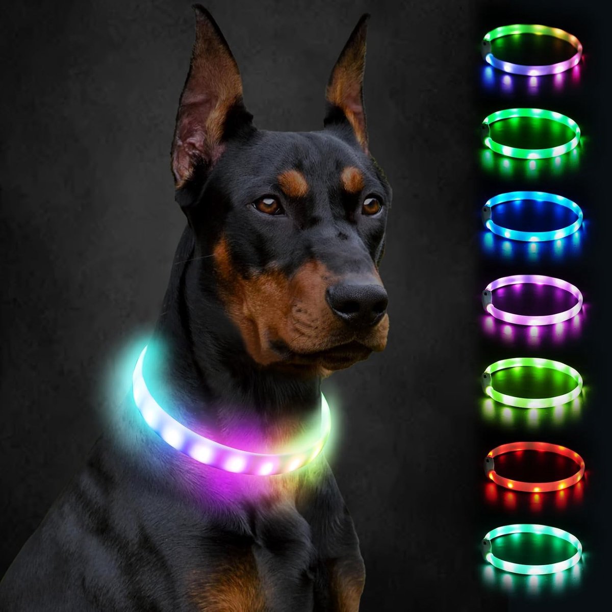 Thijox - Lichtgevende Oplaadbare Hondenhalsband met 9 Knipperstanden, Verstelbare Waterdichte LED-Halsband voor Kleine, Middelgrote en Grote Honden -
