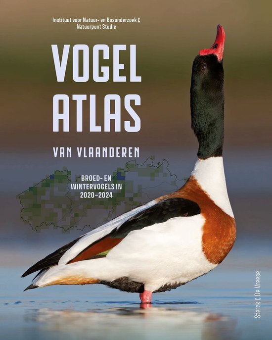 Vogel Atlas van Vlaanderen, broed- en wintervogels in 2020-2024, met een zwaan met rode snavel en witte borst.