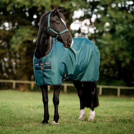 Amigo Ripstop 900D Pony Turnout 200g Dynasty Groen/Marineblauw & Zilver 115 Amigo Ripstop 900D Pony Turnout 200g Dynasty Groen/Marineblauw & Zilver 115