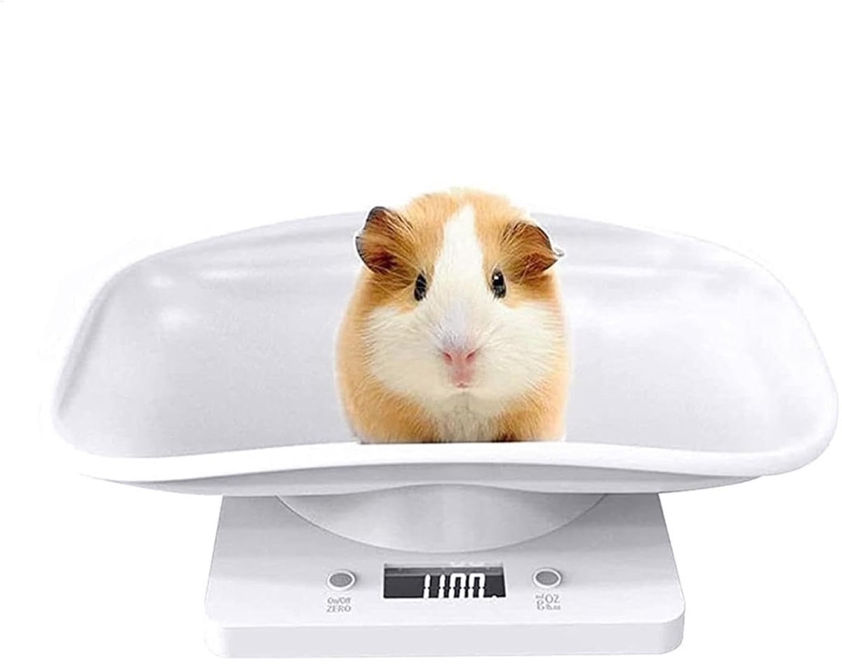Digitale Huisdierweegschaal - Kleine dieren weegschaal - Gezondheid Monitoren - Minimale aflezing 1 gram