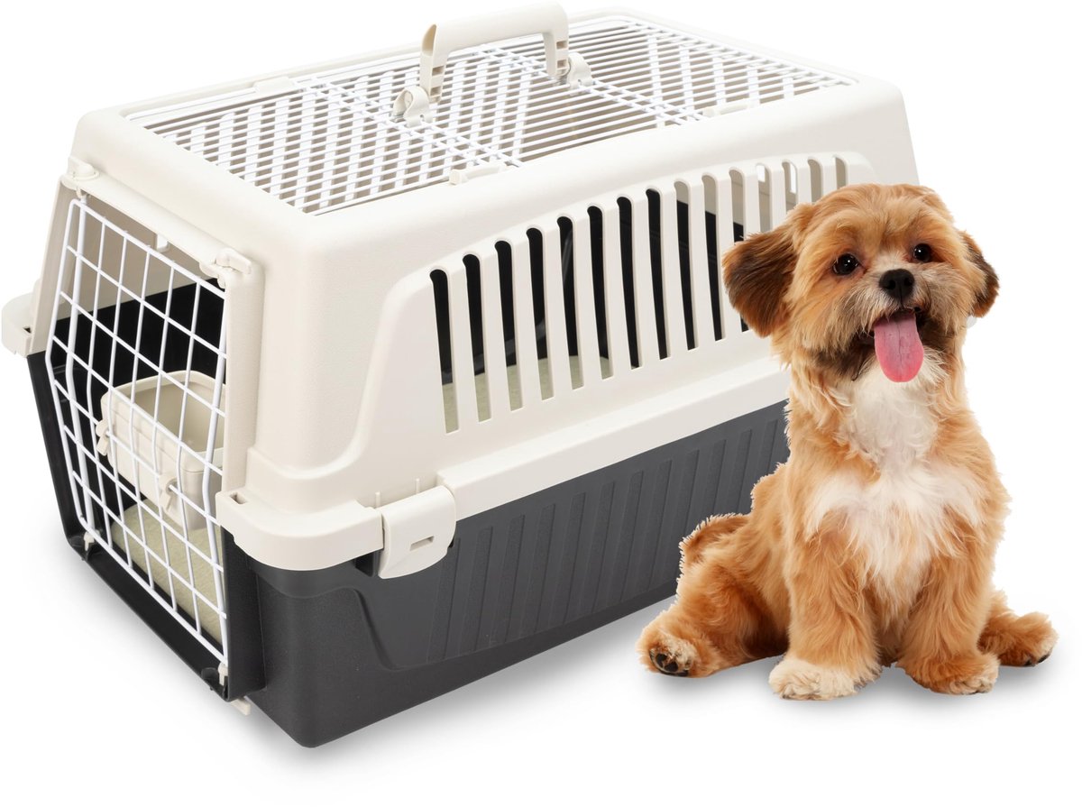 Famanu – Transportbox voor katten en kleine honden tot 8 kg, met te openen dak, inclusief kussen en kom, ventilatiesleuven, 37 x 58 x h 32 cm