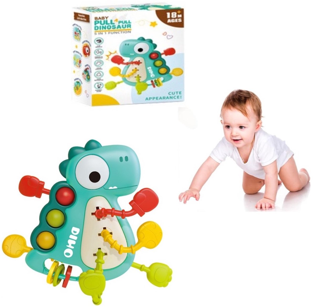 Casalora – Montessori Baby Speelgoed 8 Maanden+ – Trek- & Draaibaar Dinosaurusspeelgoed – Educatief Speelgoed – Fijne Motoriek & Ontwikkelingsspeelgoed voor Peuters – Sensorisch Speelgoed Baby –Groen