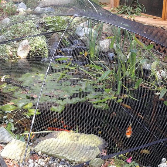 14pcs Pond Mesh for Leaves 3x9m, 1.2cm Fine Mesh, Woven Pond Net Cover to Keep Heron Away Pond Leaf Net Protecting Koi - ShopVlot — afbeelding 4