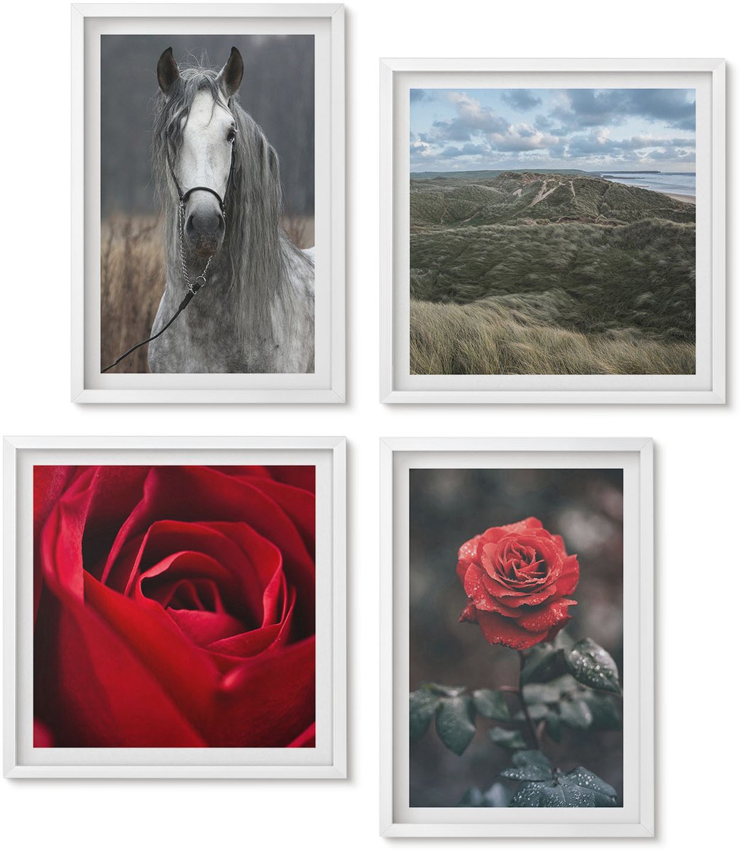 Wallfluent 4-Delige Schilderij Set - Rode Rozen En Een Paard In Een Grijze Omgeving - 40 x 40 En 40 x 60 - Schilderijen Set - Wanddecoratie - Woonkamer - Decoratieve Schilderijen