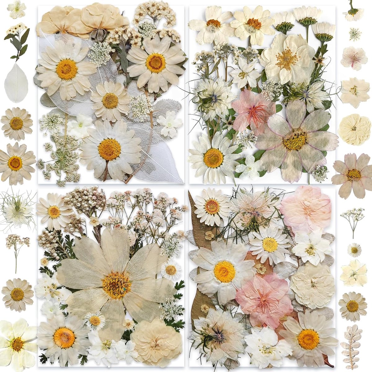 135 stuks witte gedroogde geperste bloemen met vlinderstickers - knutselset met echte natuurlijke bloemen voor kunsthars - doe-het-zelf sieraden - kaarsen