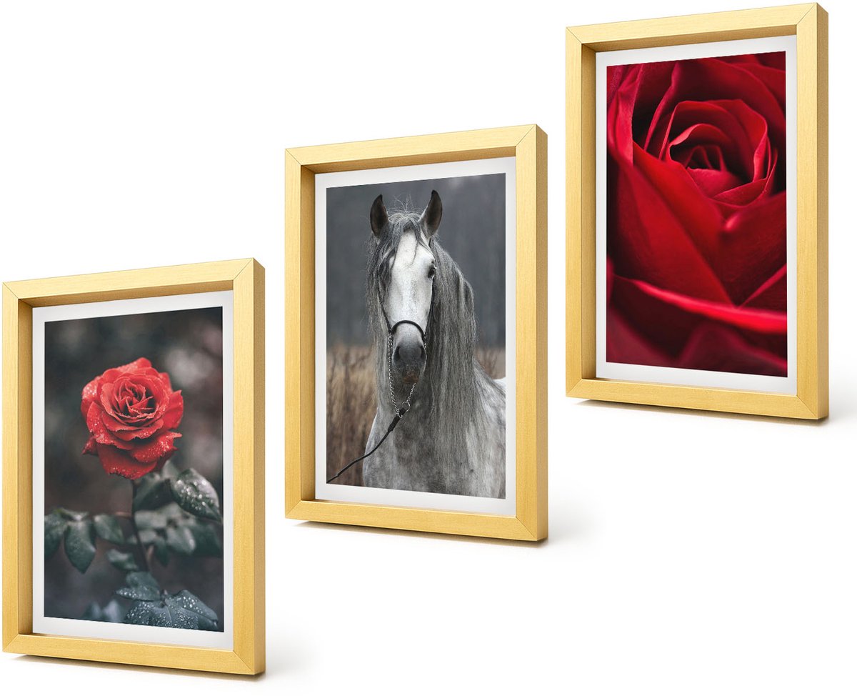 Coloray 4-Delige Schilderij Set - Rode rozen en een paard in een grijze omgeving - 20 x 30 cm - Wanddecoratie - Schilderijen Set - Kantoor