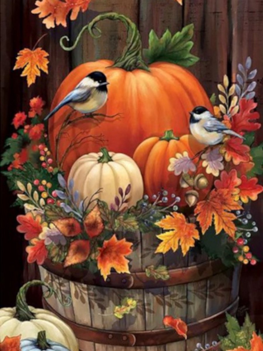 Diamond painting herfst pompoen vogels 30x40cm ronde steentjes